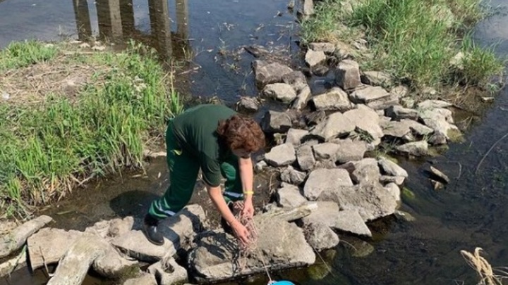 Водоканал в Ростовской области сливал нечистоты в несколько водоёмов