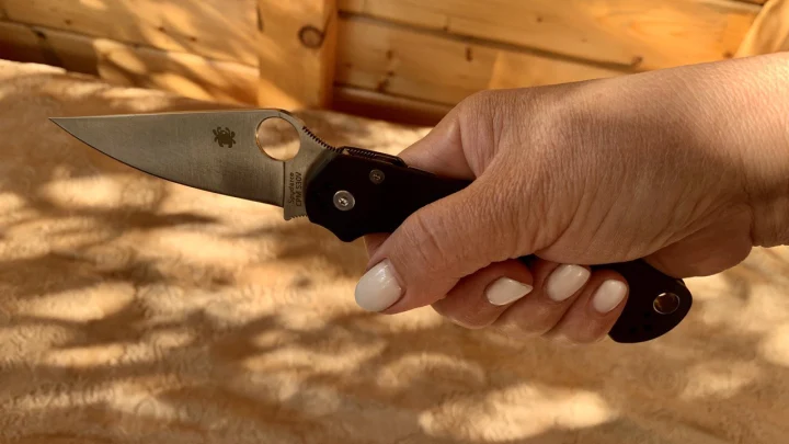 Хотела убить 20 лет: зюзинскую маньячку с раздвоением личности вернули в Москву