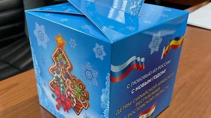 Ростовские власти устроят детям Сирии новогодний праздник
