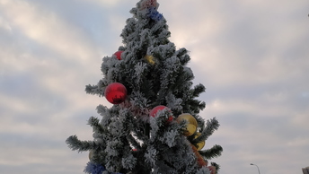 В скорую врезалась машина. Смотреть фото В скорую врезалась машина. Смотреть картинку В скорую врезалась машина. Картинка про В скорую врезалась машина. Фото В скорую врезалась машина В скорую врезалась машина. Смотреть фото В скорую врезалась машина. Смотреть картинку В скорую врезалась машина. Картинка про В скорую врезалась машина. Фото В скорую врезалась машина