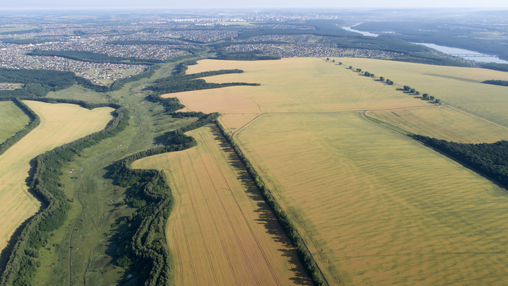 В Тимашевске на «черного» ассенизатора завели дело за незаконный слив нечистот