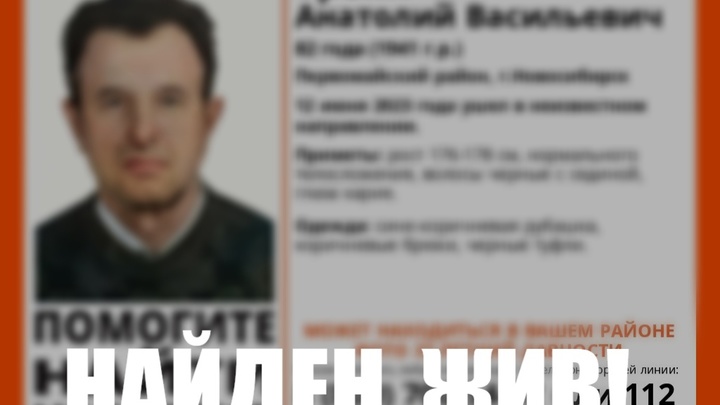 В Первомайском районе Новосибирска завершены поиски пропавшего пенсионера