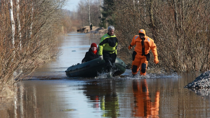 Ленобласть уходит под воду: в Тихвине и Тосно объявлен режим повышенной готовности