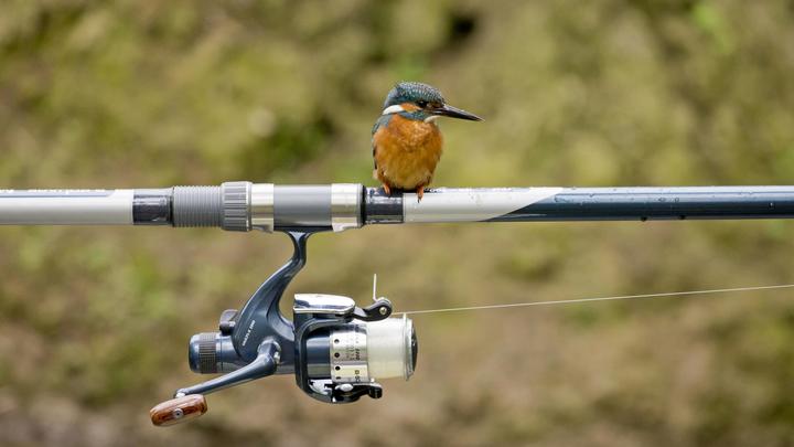 Казацкая смекалка против ВСУ: Как обыкновенная удочка победила спецтехнику Украины