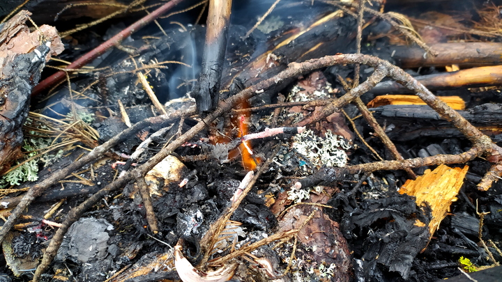В Апшеронском районе рядом с Лаго-Наки загорелся лес