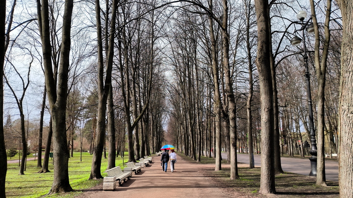 Запорожцам предлагают проголосовать за благоустройство региона
