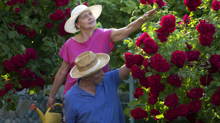 Пенсионная реформа выходит на новый уровень. Но сомнений меньше не стало