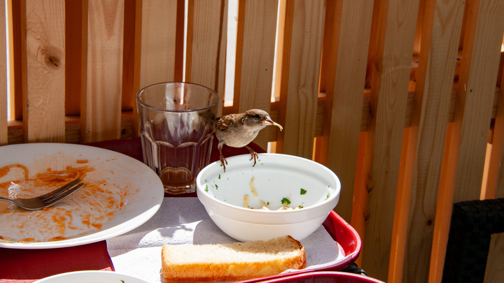 В Госдуме предложили усилить наказание за антисанитарию в квартире