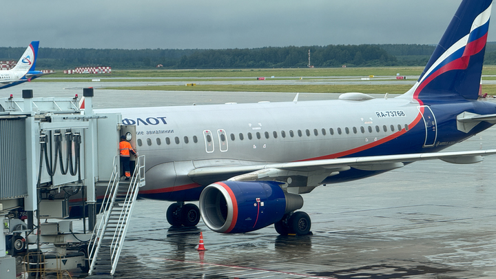 Инцидент в Шереметьево: посадка могла завершиться катастрофой. Командир вовремя совершил манёвр