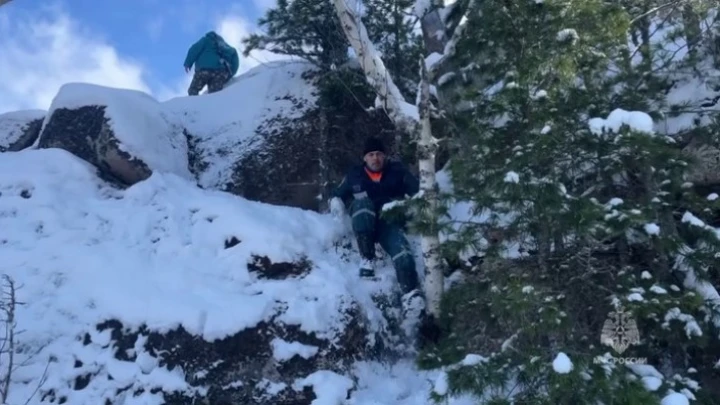 Следком возобновил поиски семьи Усольцевых в красноярской тайге