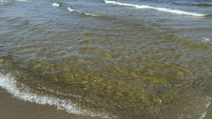 Туристов с пляжа в Крыму погнали... нагайкой: Семья пожаловалась на дерзкую встречу у моря