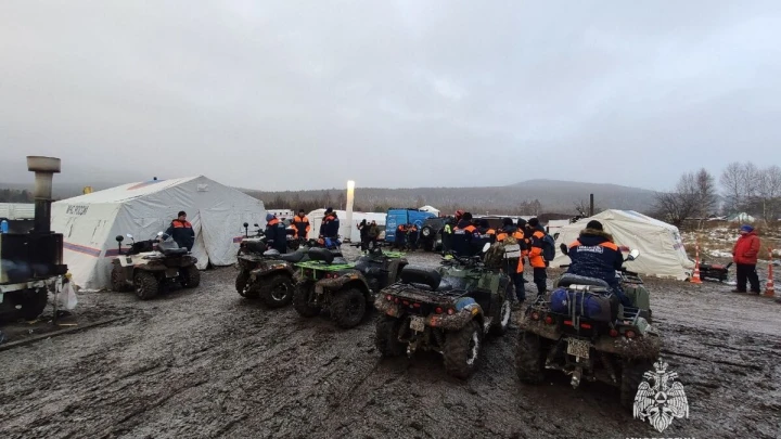 Тайна, которую откопал зверь: новая находка в тайге заставила спасателей вернуться к делу Усольцевых