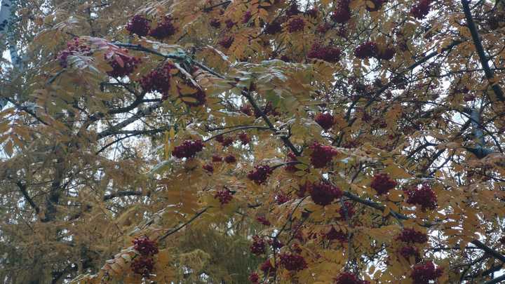 На Сочи надвигается непогода