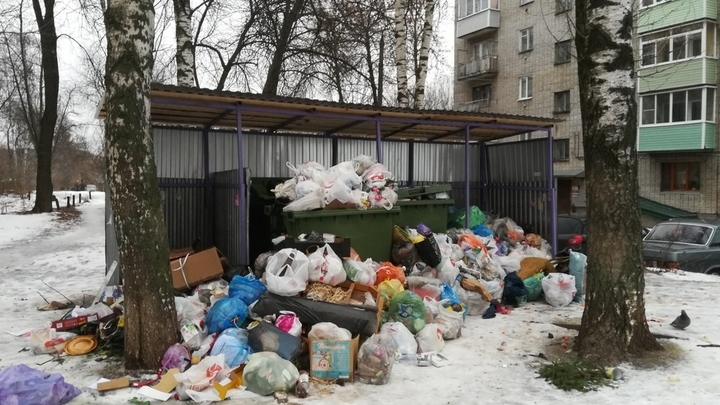 Мэрии Владимира предложено отнять у правительства области контроль за вывозом мусора