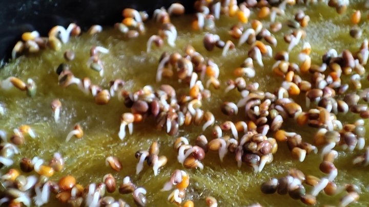 Лунный посевной календарь на 13 июля 2023: что сажать сегодня, советы садоводам и огородникам