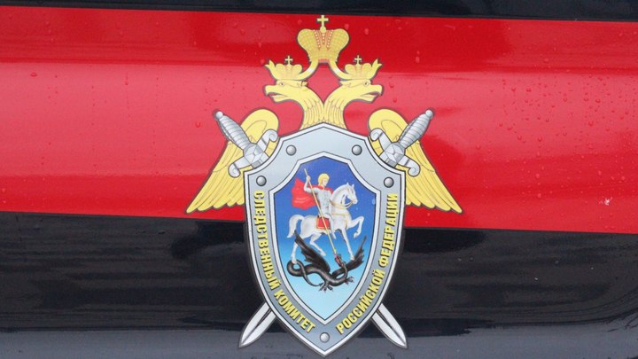 В Самаре на главного бухгалтера МКУ “Самарский бизнес-инкубатор” завели уголовное дело
