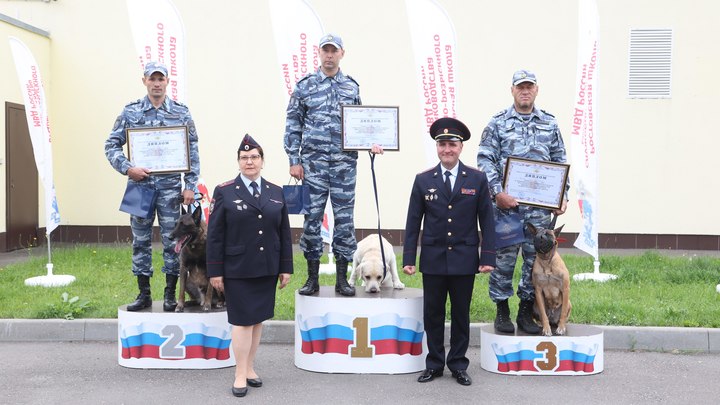 Полицейский из Новосибирска стал лучшим кинологом России
