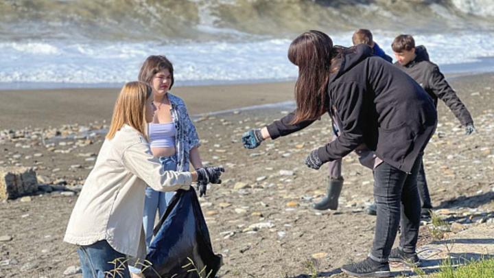 В Сочи около 6 тыс. человек приняли участие в общегородском субботнике