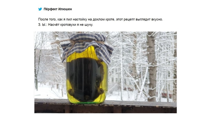 Кротовуха или настойка из мёртвого крота: в чём её сила и в чём опасность