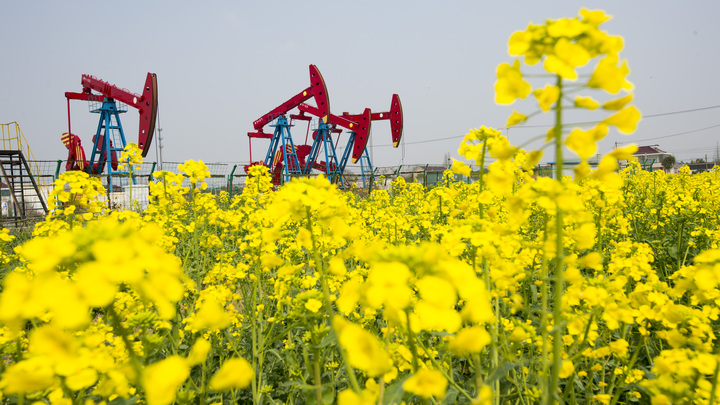 Россия осталась мировым лидером по экспорту нефти в Китай