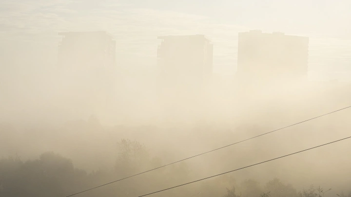 Жителей Подмосковья предупреждают о густом тумане ночью и утром 12 сентября