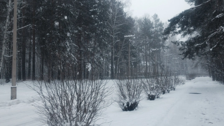 Новосибирский Академгородок остался без электричества в мороз