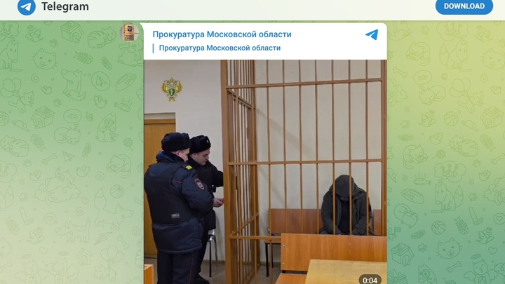 Водитель медицины катастроф сам стал жертвой: подробности трагедии в Домодедово