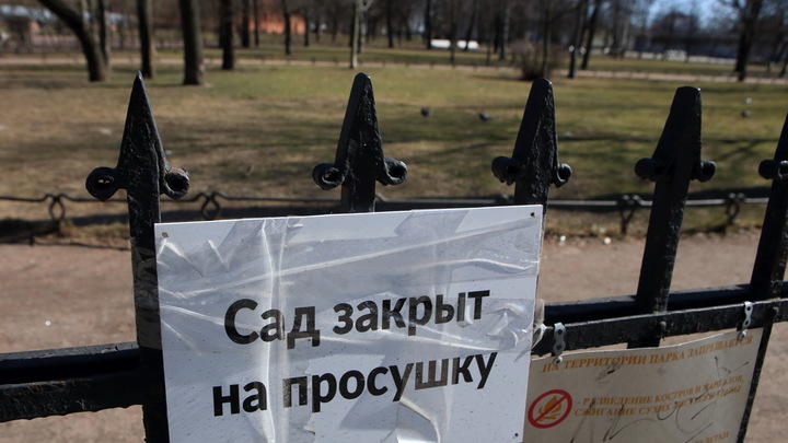 Комблаг рассказал, изменят ли сильные снегопады сроки закрытия парков Петербурга на просушку