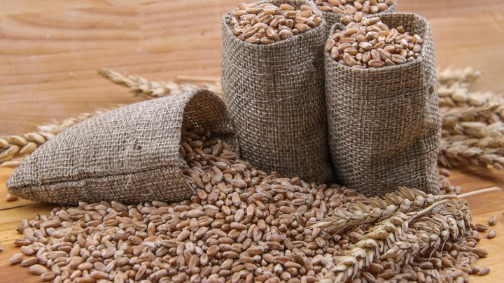 Зерновую сделку обсудят на следующей неделе: ООН раскрыла, чего ждёт