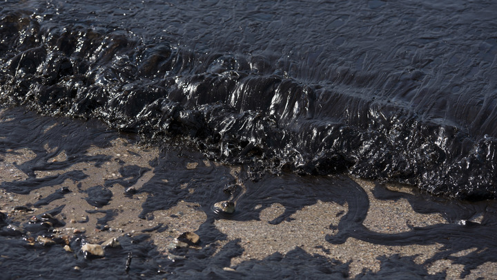 Мазутная катастрофа на Чёрном море: Что будет с курортным сезоном? Неудобные вопросы и честные ответы