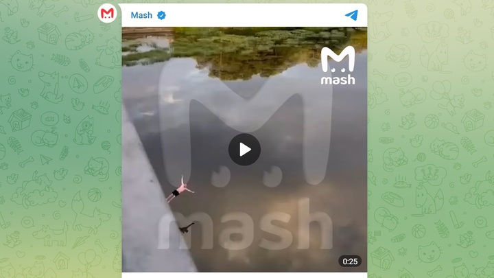 Волгоградец на спор прыгнул с моста в Москве и разбился о воду на глазах невесты