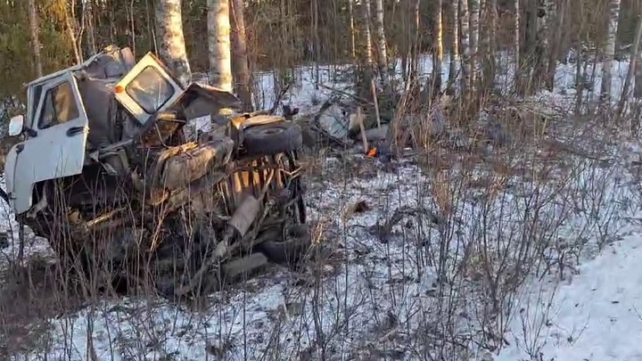 В Нижегородской области Буханка улетела в кювет и превратилась в шар: погибла женщина