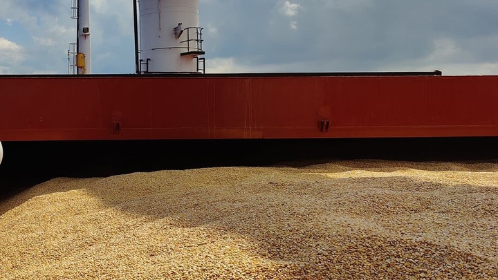 Суда с украинским зерном минуя нуждающиеся страны идут на Запад — МИД России