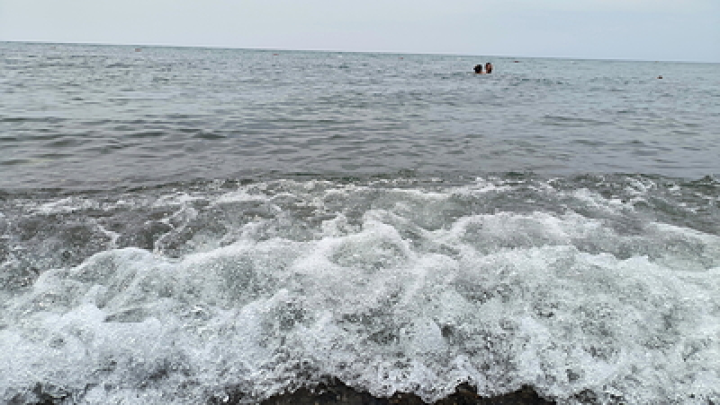 Кубомедуза в Малайзии чуть не убила двухлетнего ребёнка из России