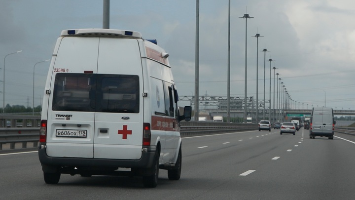 В момент взрыва в машине главы ВГА Михайловки была приёмная дочь погибшего