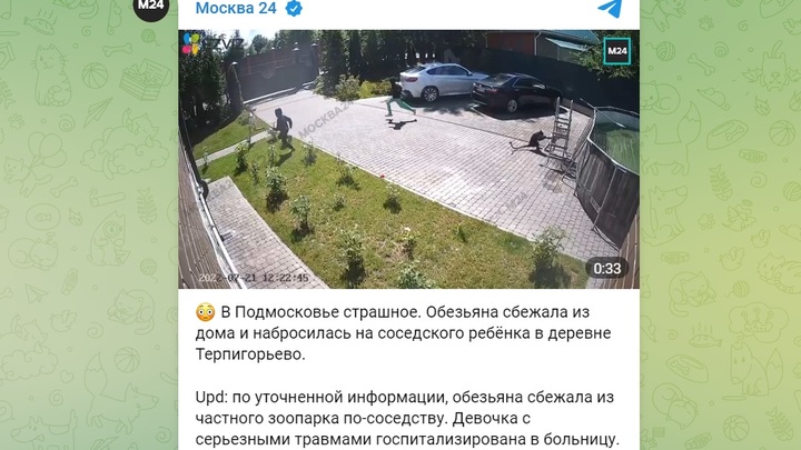 Обезьяна растерзала двухлетнюю девочку на улице в Подмосковье