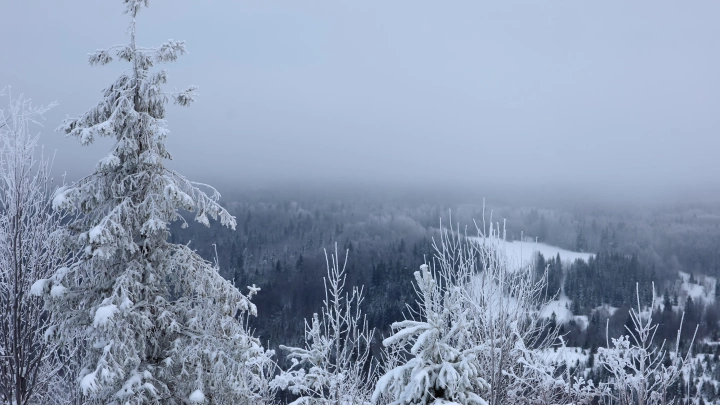 Точность сигнала - 2 км: В поисках Усольцевых опытные альпинисты подошли к пещерам