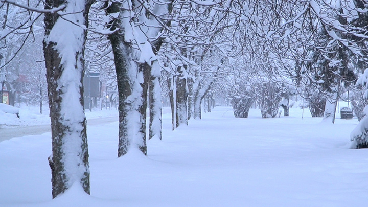 Снегопад в Краснодаре 22-24 января 2022: город утонул в снегу, а мэр назвал это экстремальным