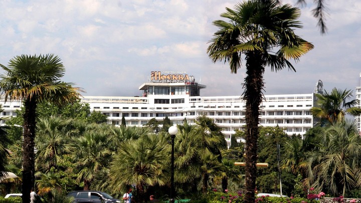 Сочи оккупировали паразиты: Все пальмы под угрозой уничтожения