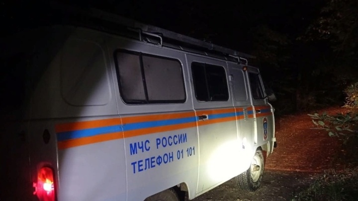 Кубанские спасатели вывели из леса заблудившихся мать и её семерых детей