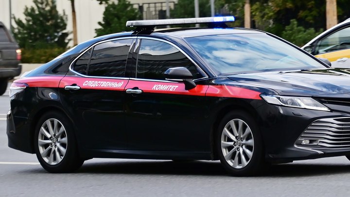 Тело пропавшей 41-летней женщины нашли в лесу вблизи села в Новосибирской области
