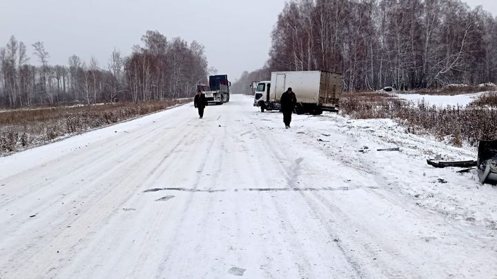Вылетел на встречку: водитель Toyota Corolla погиб в ДТП в Новосибирской области