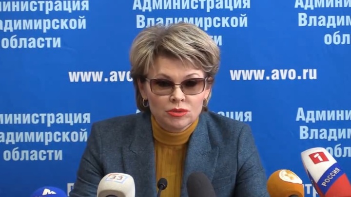 18 января владимирский областной суд рассмотрит апелляцию экс-вице-губернатора Елены Мазанько