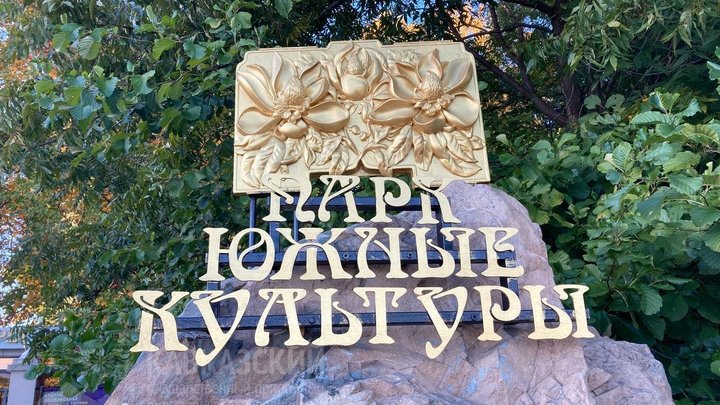 В парке Южные культуры в Сочи второй раз в году зацвела японская айва