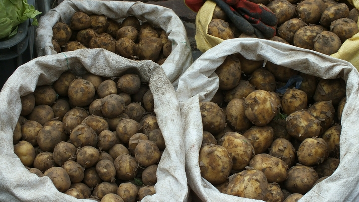 Минсельхоз опроверг заявление спекулянтов об угрозе дефицита картофеля в России