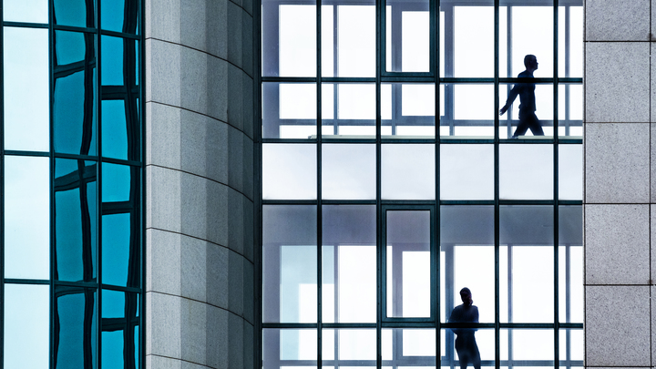 Уровень конкуренции в сферах управления персоналом и юриспруденции в Краснодаре превысил норму