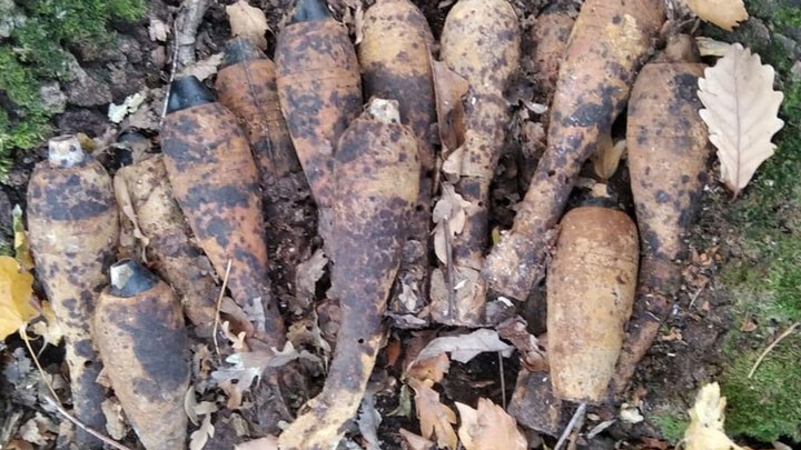 Грибники на Кубани вместо грибов находят боеприпасы времен войны