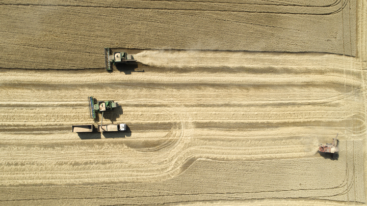 Запорожская область реализовала порядка 70% зерна — Балицкий