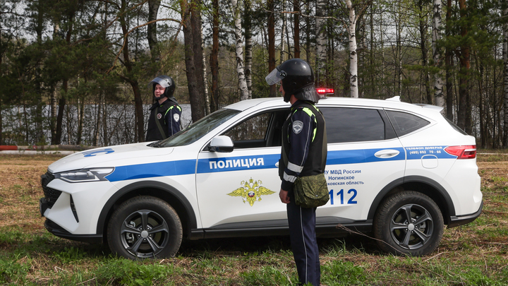 В Перми появилась уличная банда, избивающая случайных прохожих