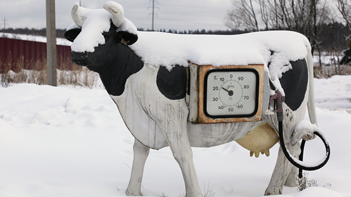 Ёлку на заправках не выкинули: Приятная новость для автомобилистов